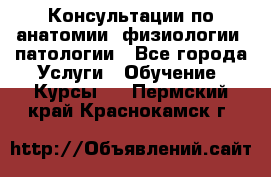 Консультации по анатомии, физиологии, патологии - Все города Услуги » Обучение. Курсы   . Пермский край,Краснокамск г.